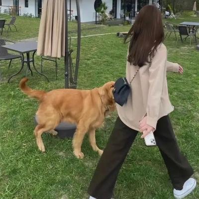 青春流水之校园往事